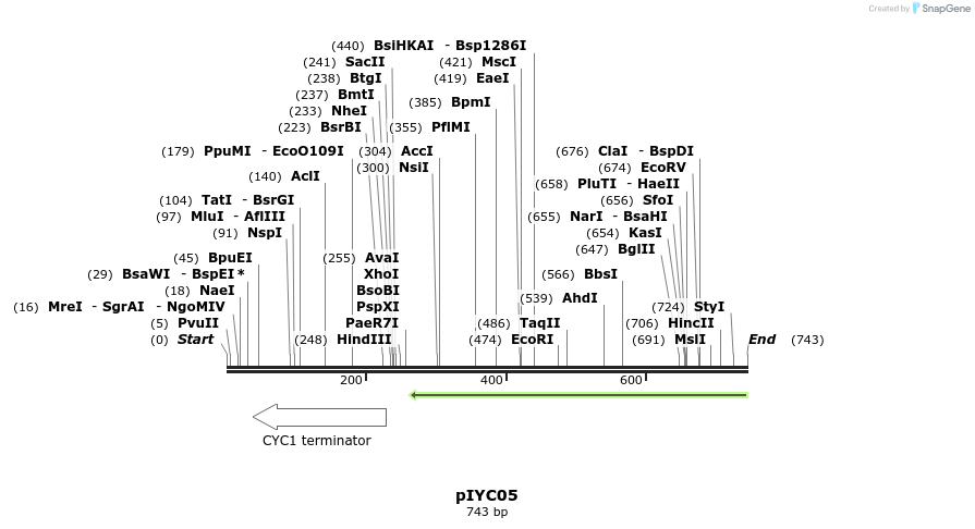 114180_map