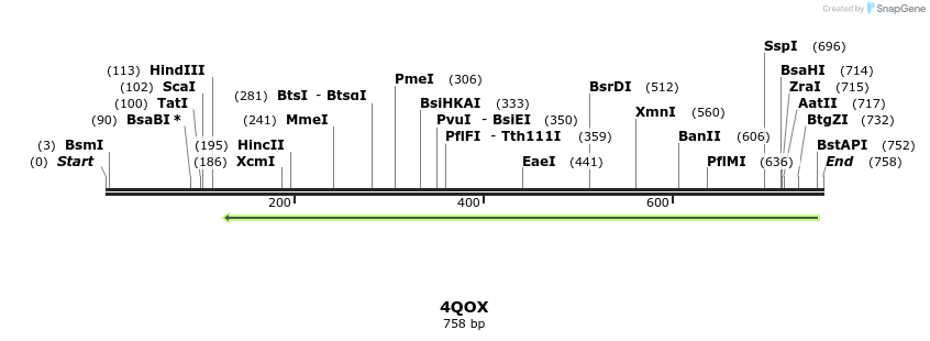 114181_map