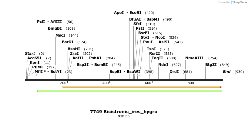 114185_map