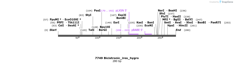 114186_map
