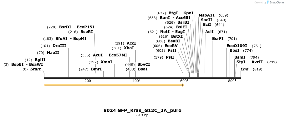 114187_map