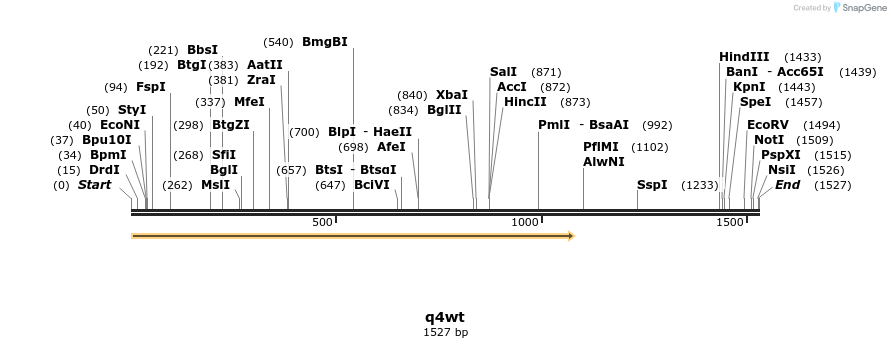 11419_map