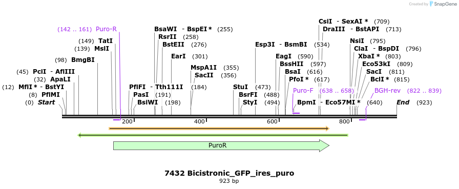 114190_map