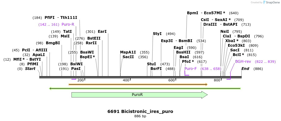114191_map