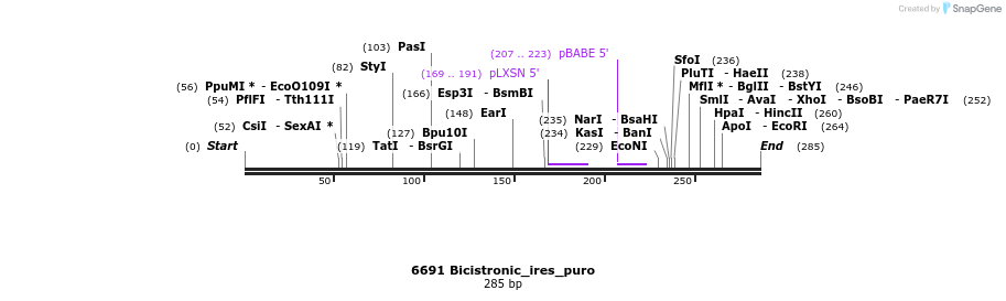 114192_map