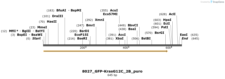114193_map