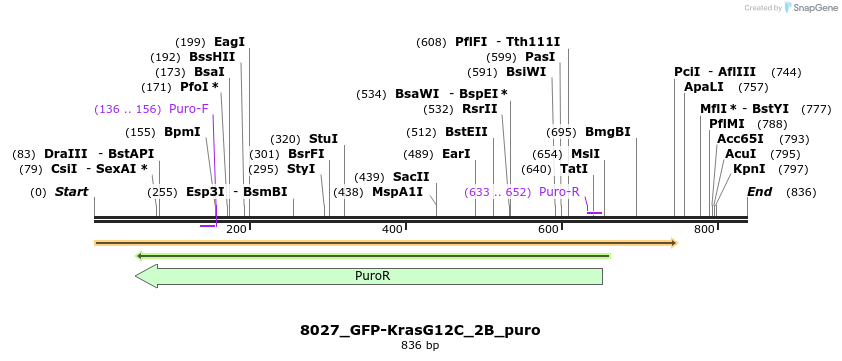 114194_map
