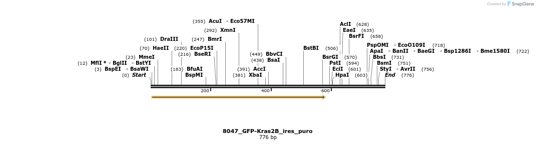 114195_map