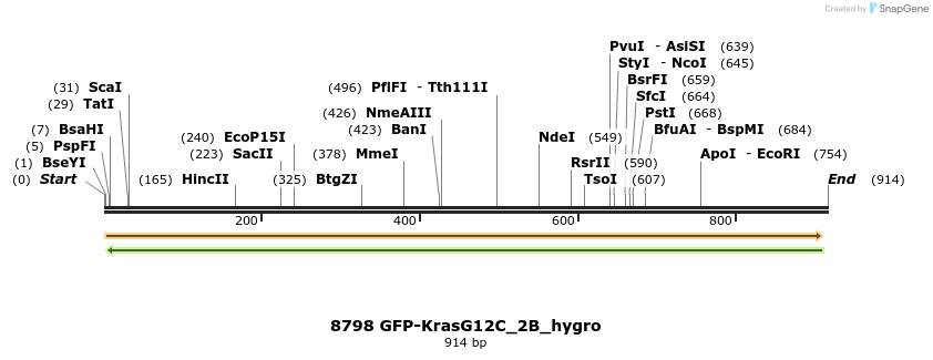 114198_map