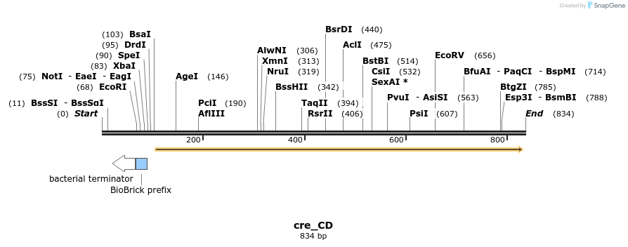 114202_map