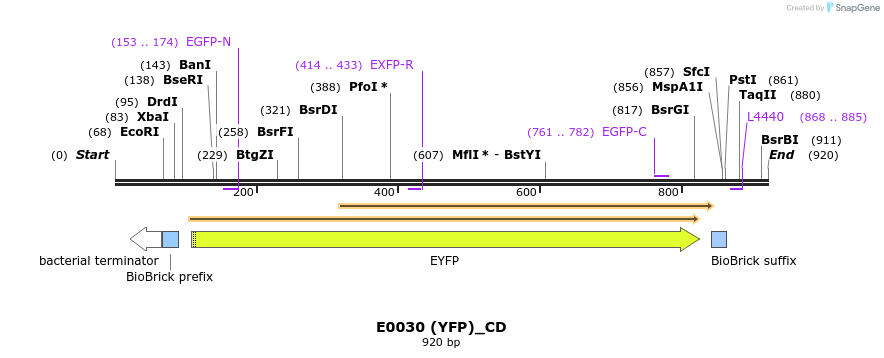 114204_map