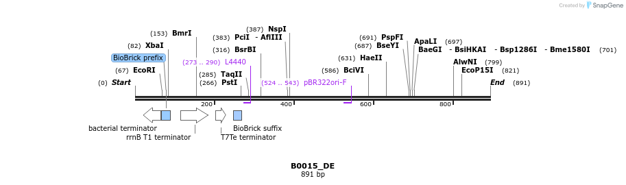 114217_map