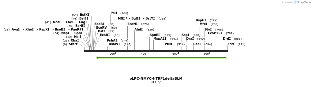 114245_map