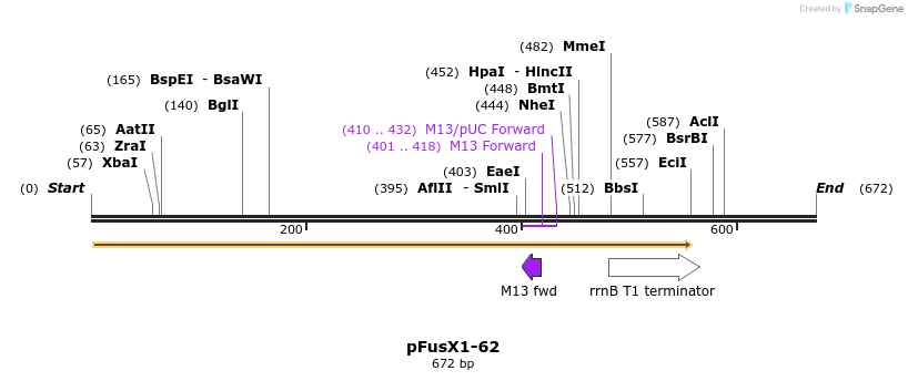 114257_map