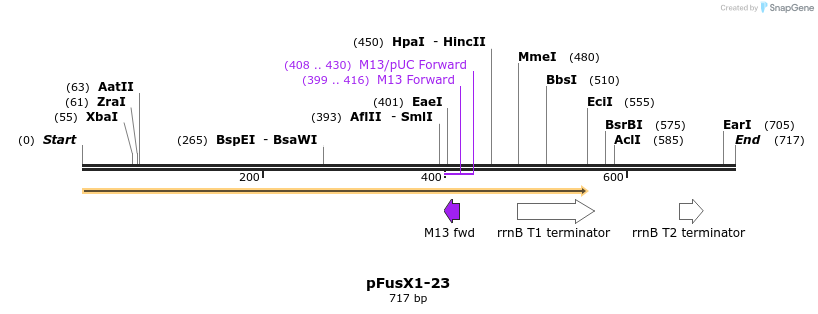 114261_map