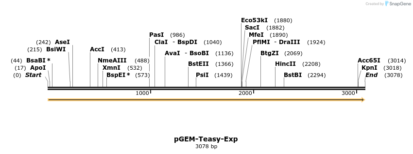 114264_map