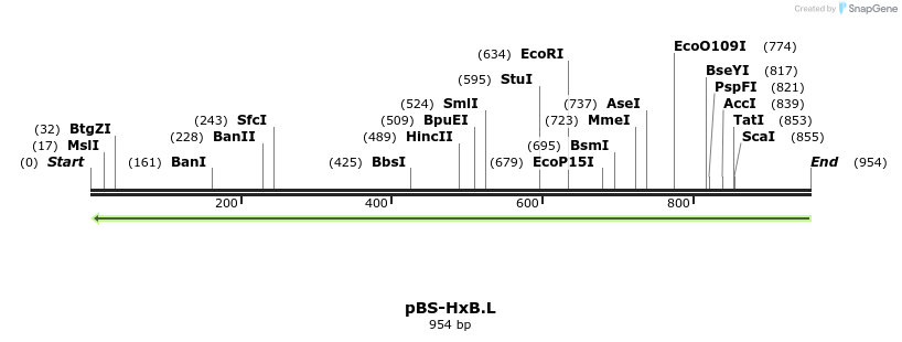 114265_map
