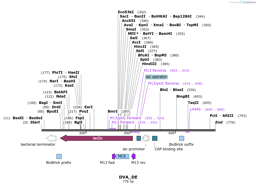 114278_map