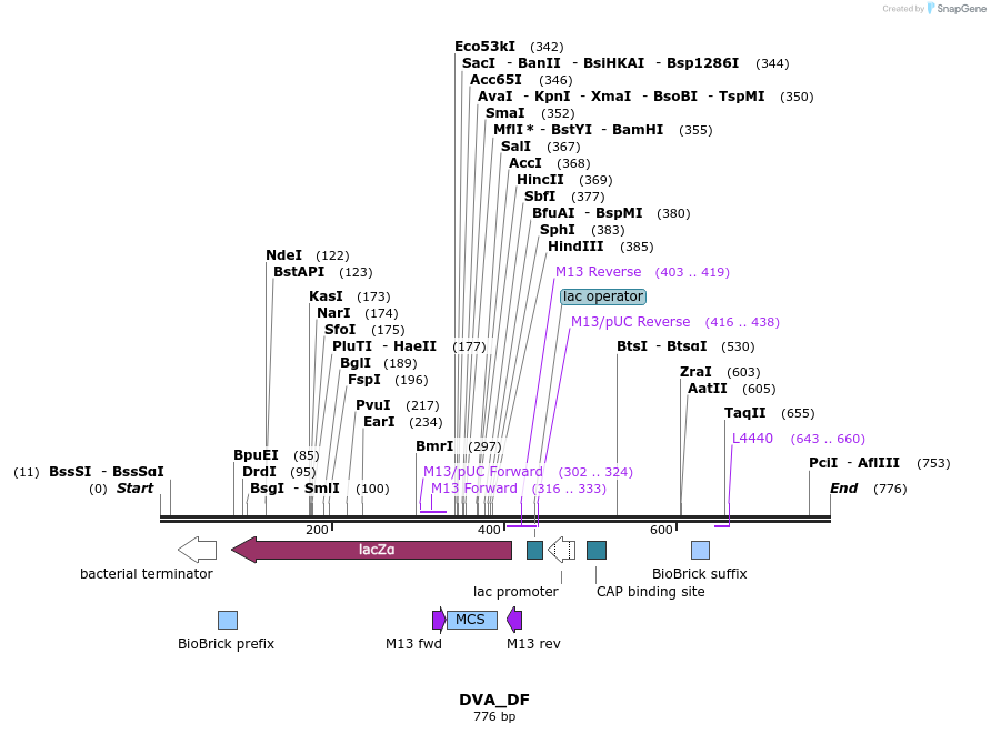 114280_map