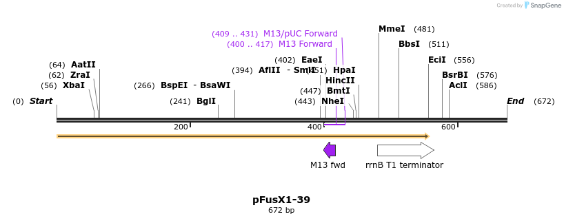 114282_map