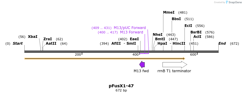 114285_map