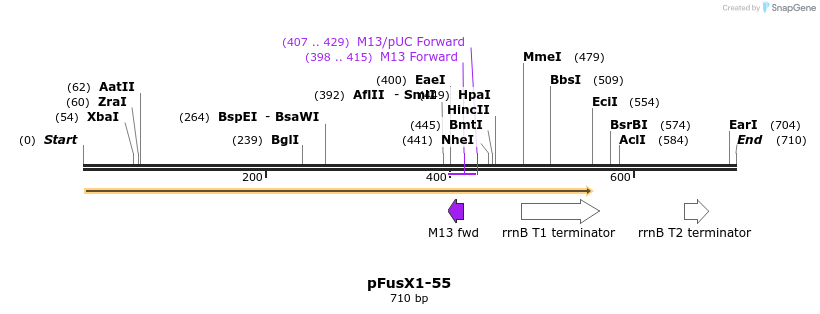 114287_map