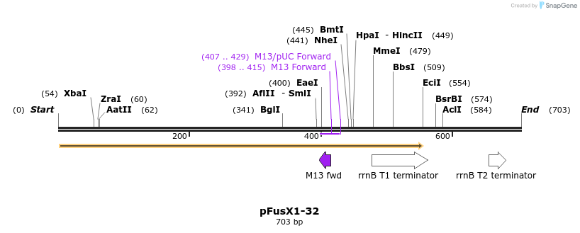 114299_map