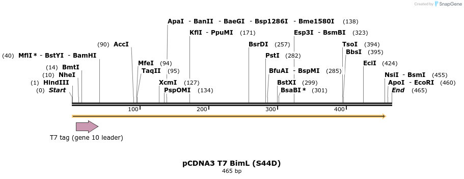 11430_map