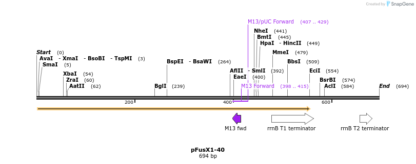 114300_map