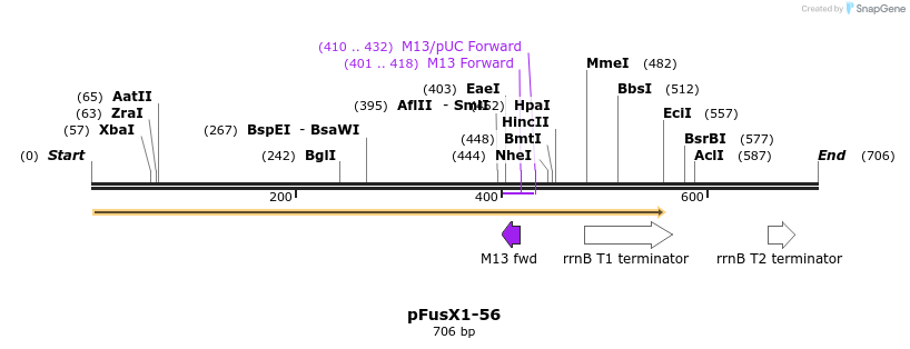 114302_map