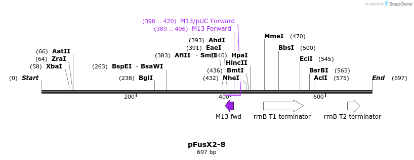 114304_map