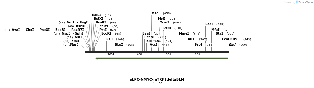 114310_map