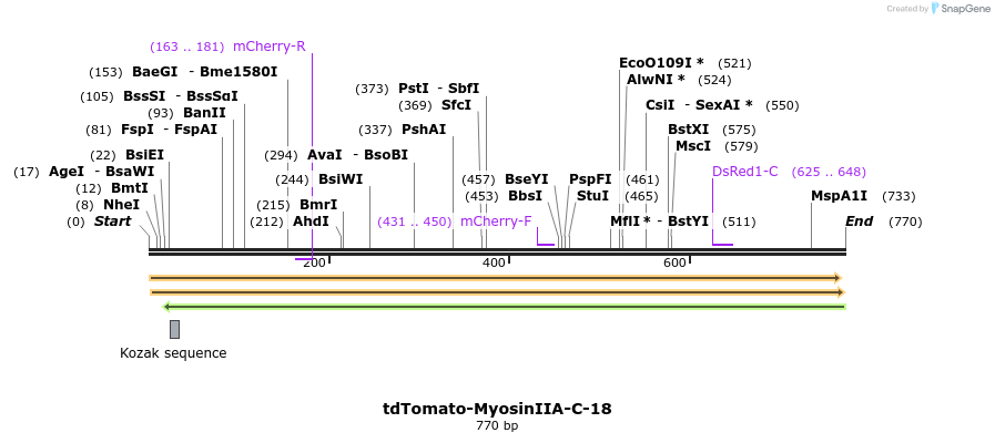 114312_map