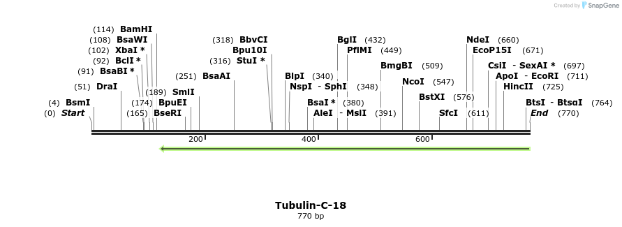 114313_map