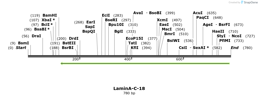 114315_map