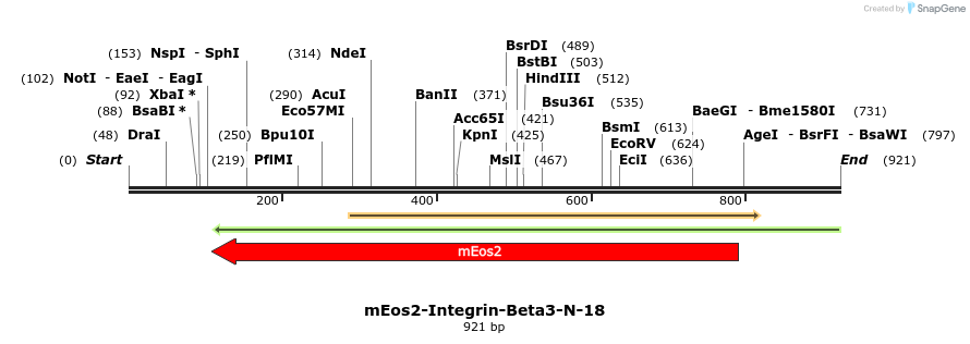 114318_map