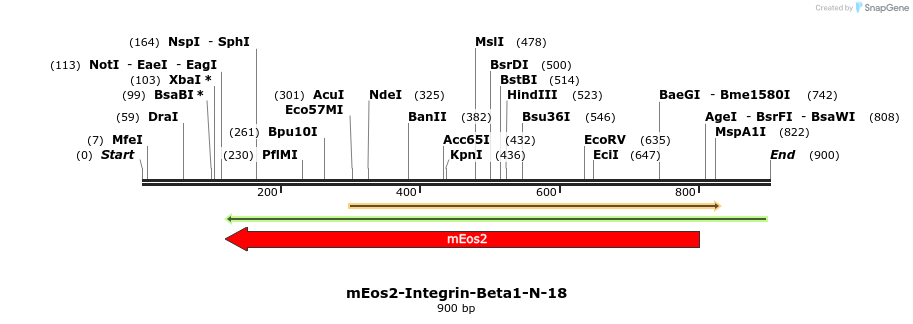 114321_map