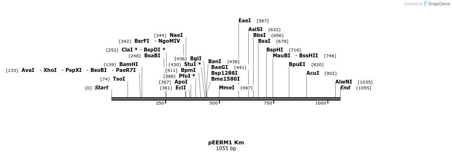 114330_map