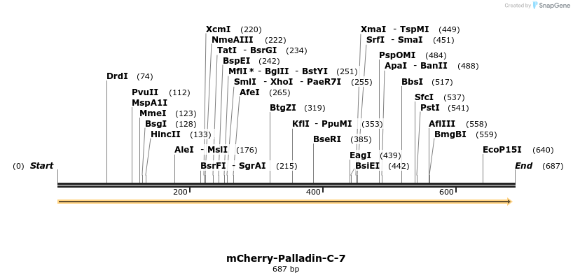 114331_map