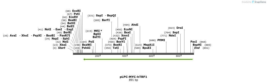 114332_map