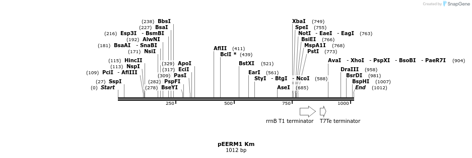 114335_map