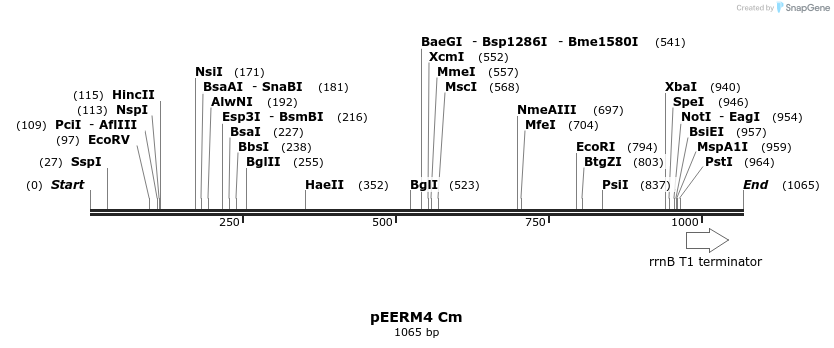 114341_map