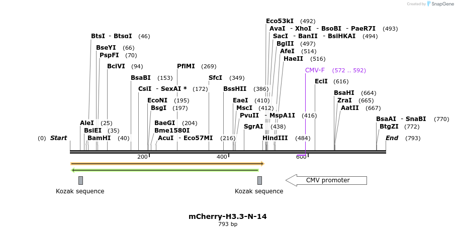 114342_map