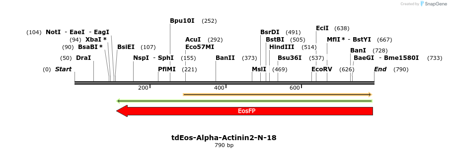 114347_map