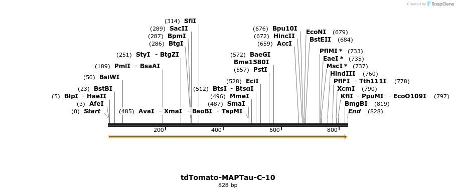 114352_map
