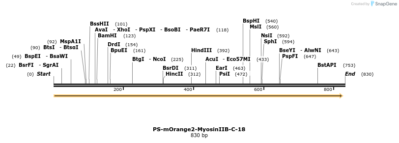 114357_map