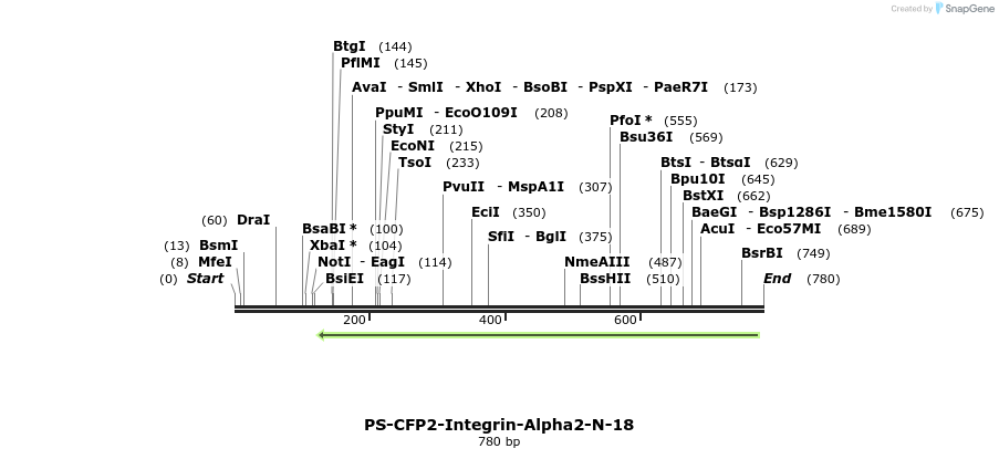 114362_map