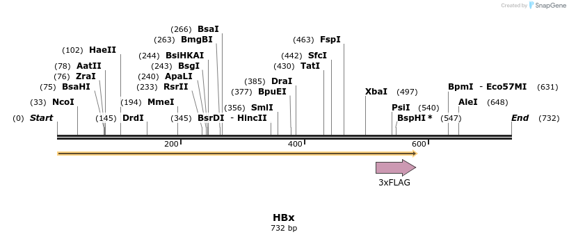 114365_map