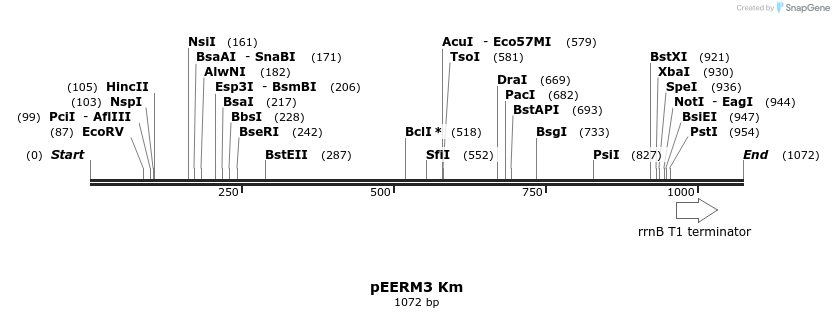 114368_map