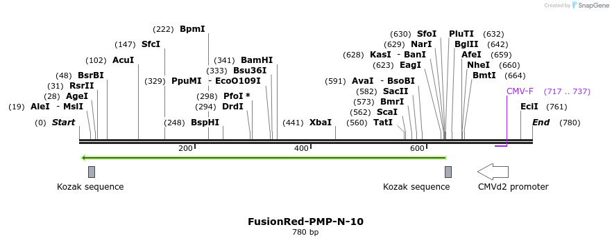 114370_map